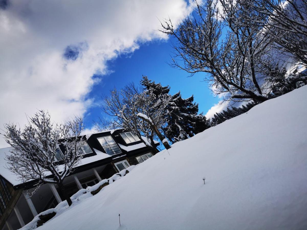 Doinita House Villa Borşa Exteriör bild